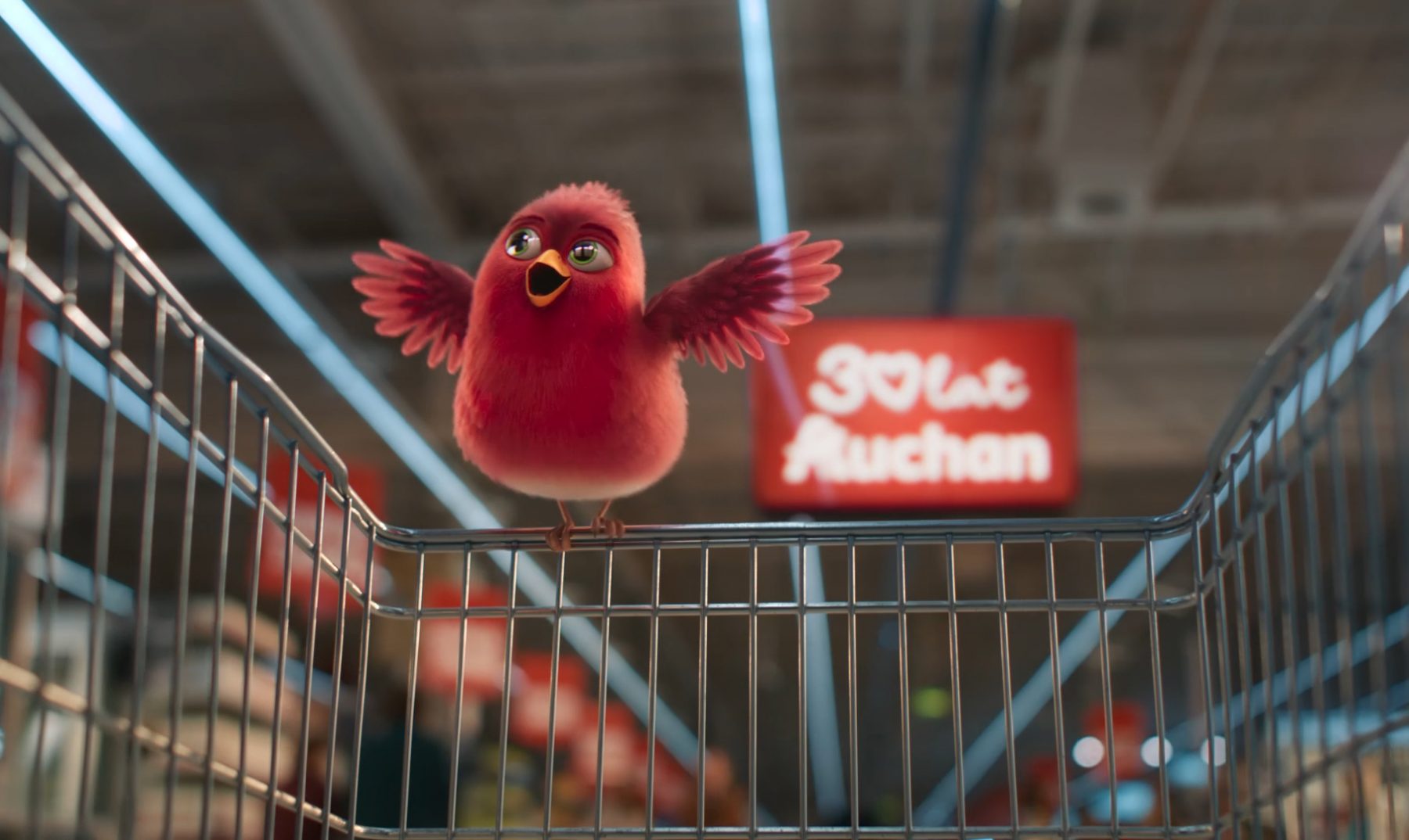 2026_01_08_sc02_AUCHAN_NISKIE_CENY_1920x1080_H264_13h08 (90130)