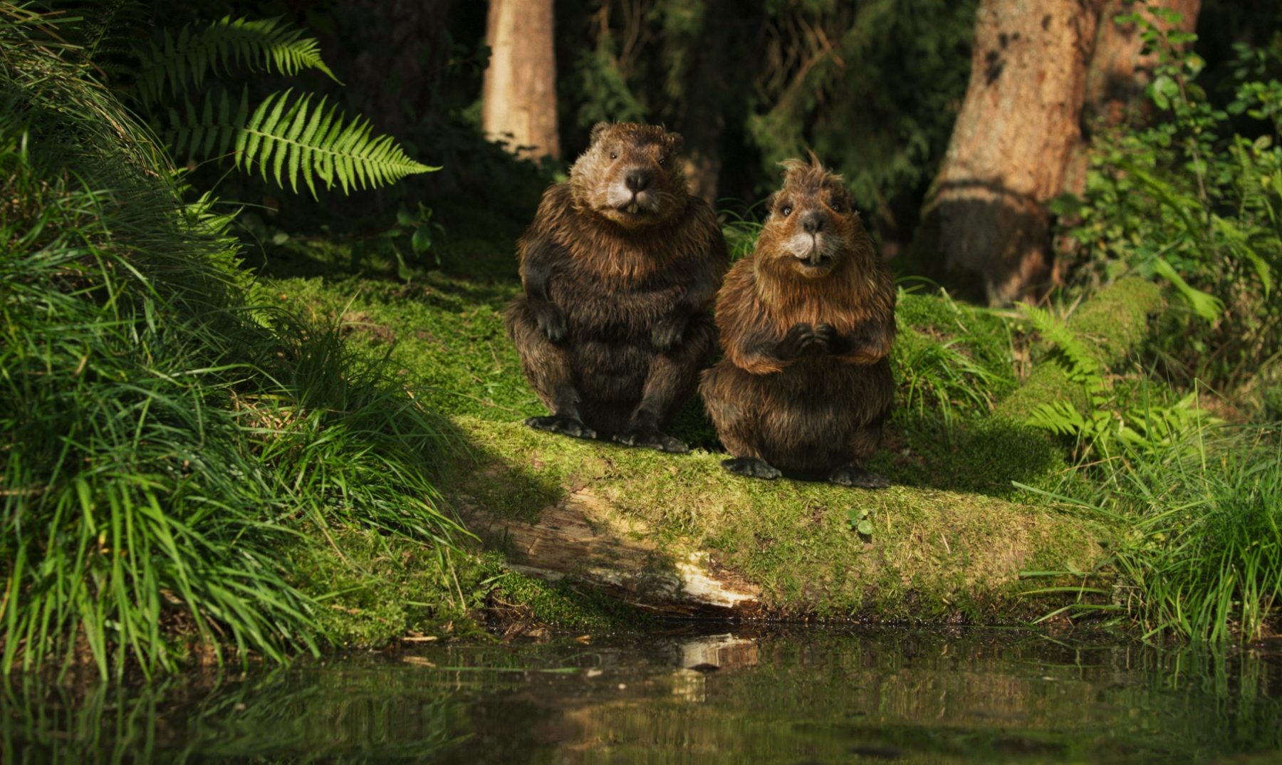 Still 2026-03-09 170742_1.1.1