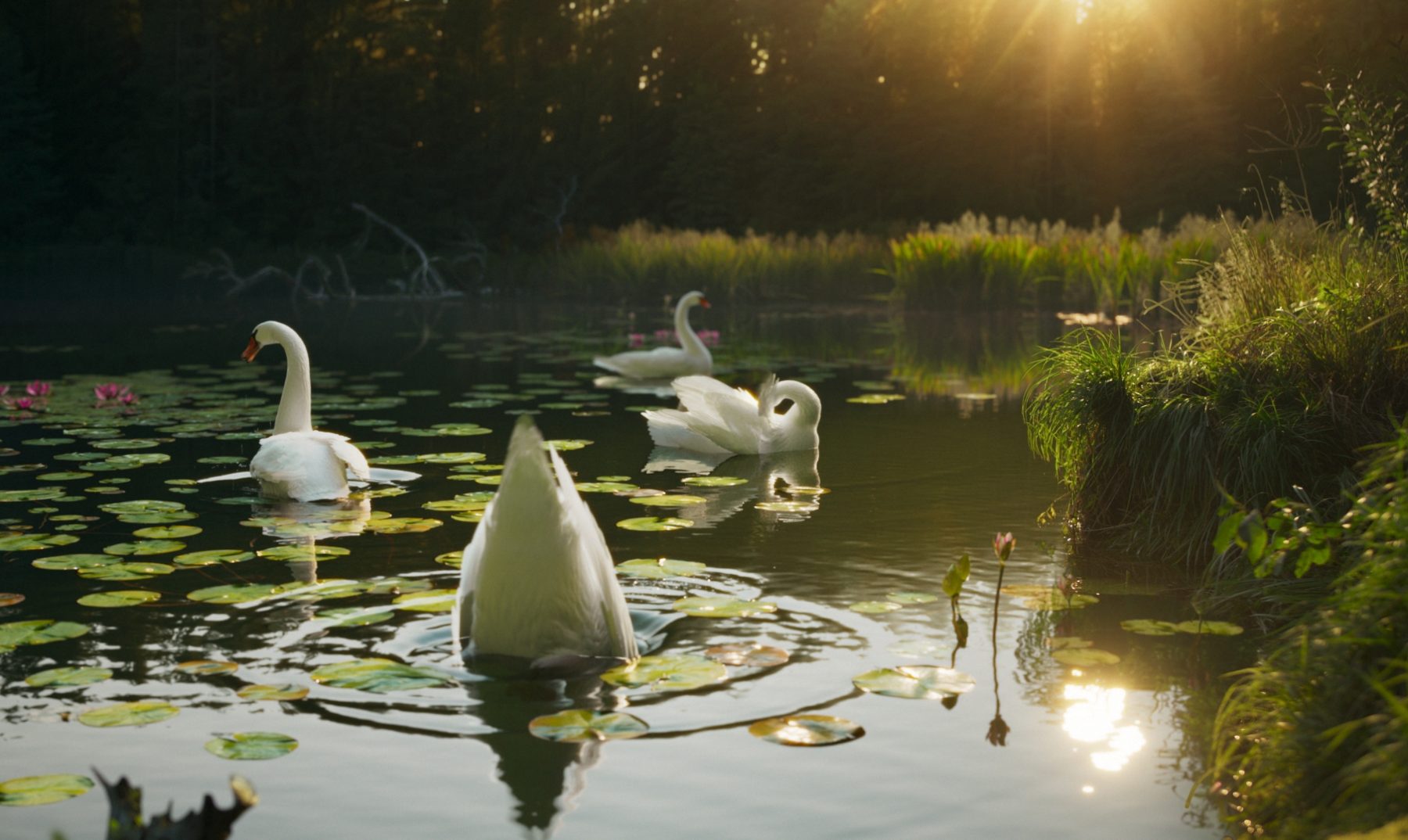 Still 2026-03-09 170742_1.1.2