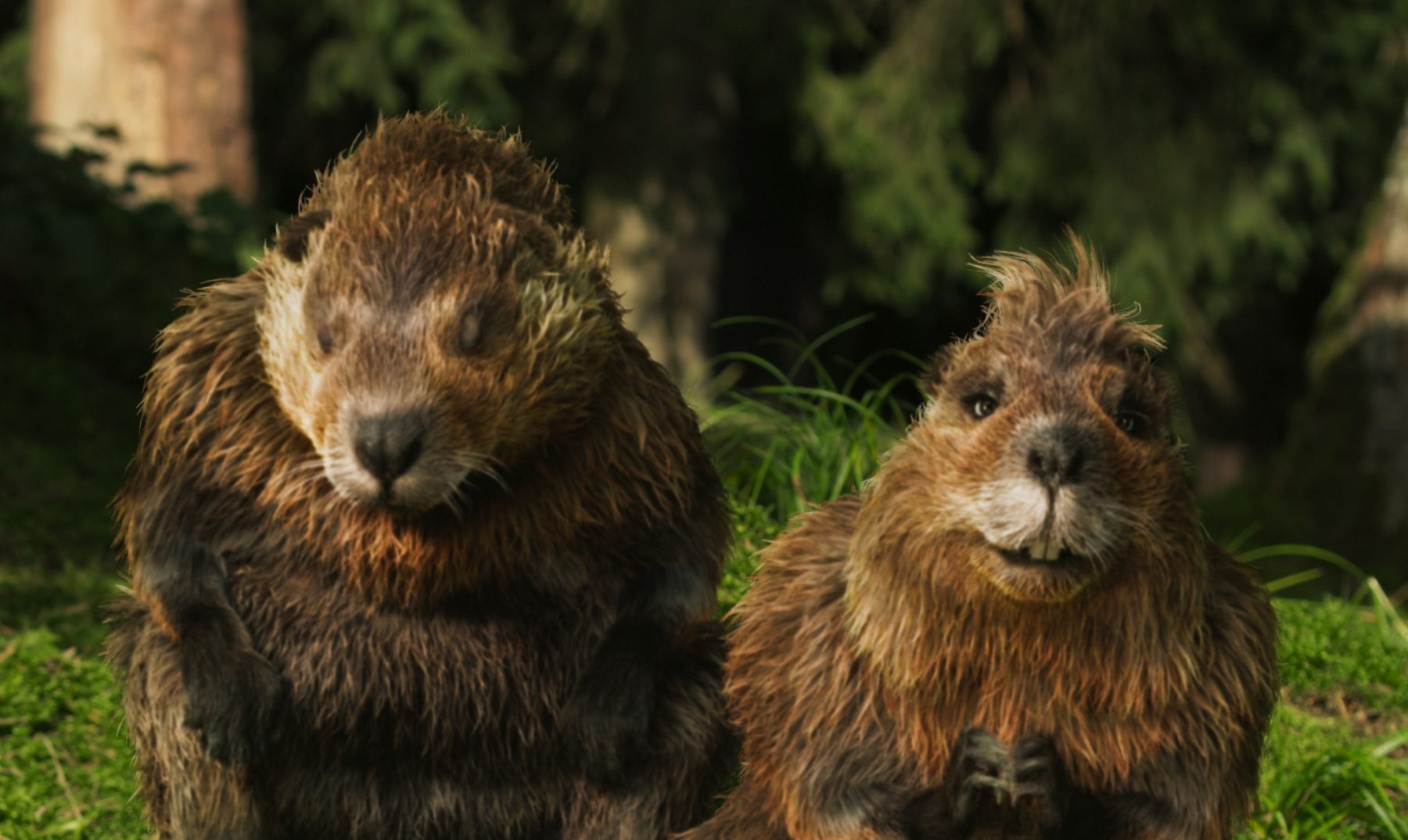 Still 2026-03-09 170742_1.1.3