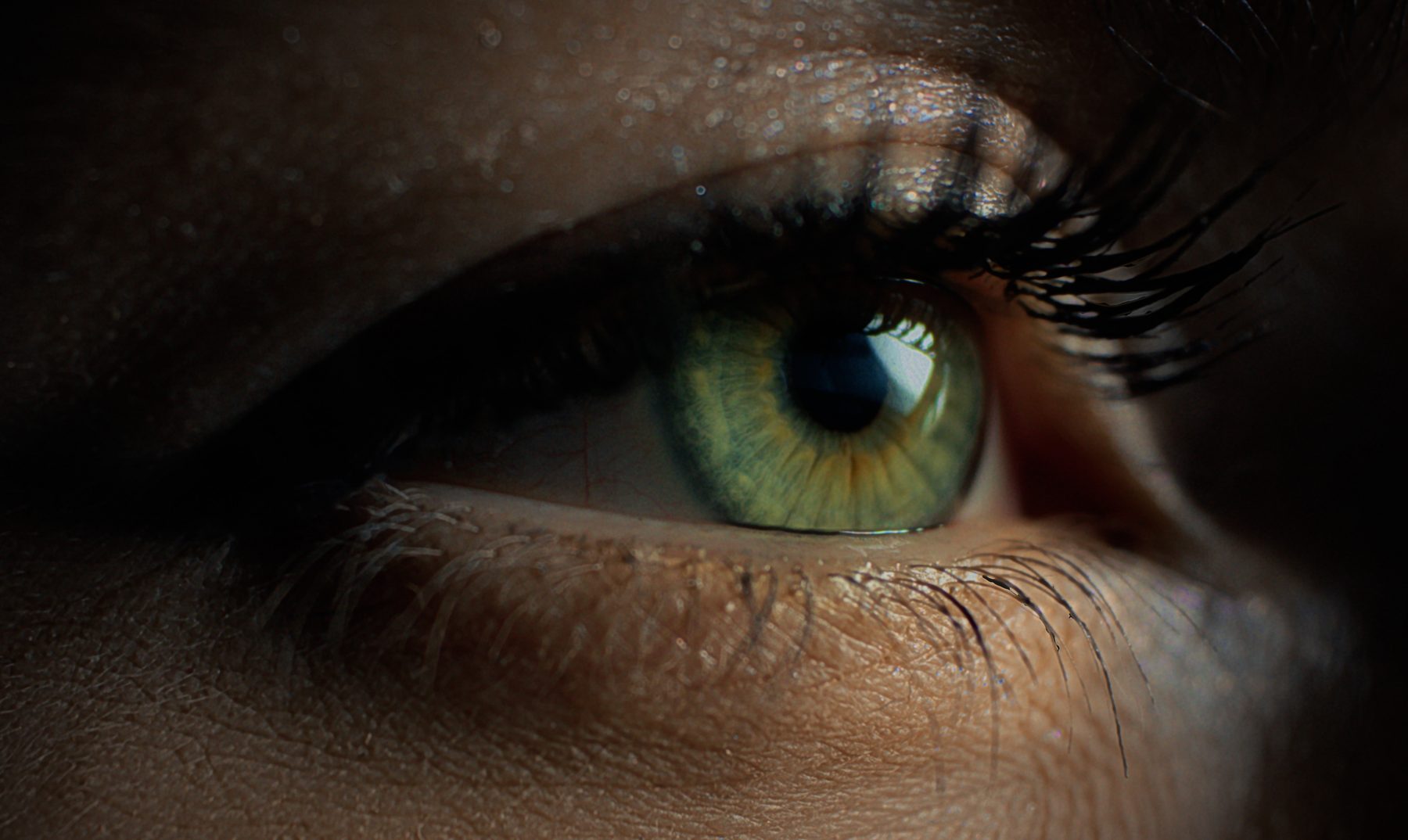 Sequence 01.00_00_20_10.Still011